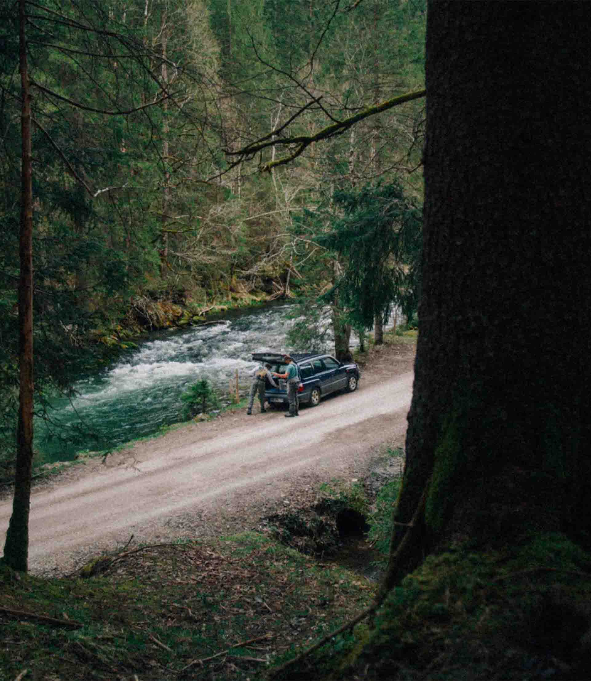 subaru parking at the forest Simon Abele