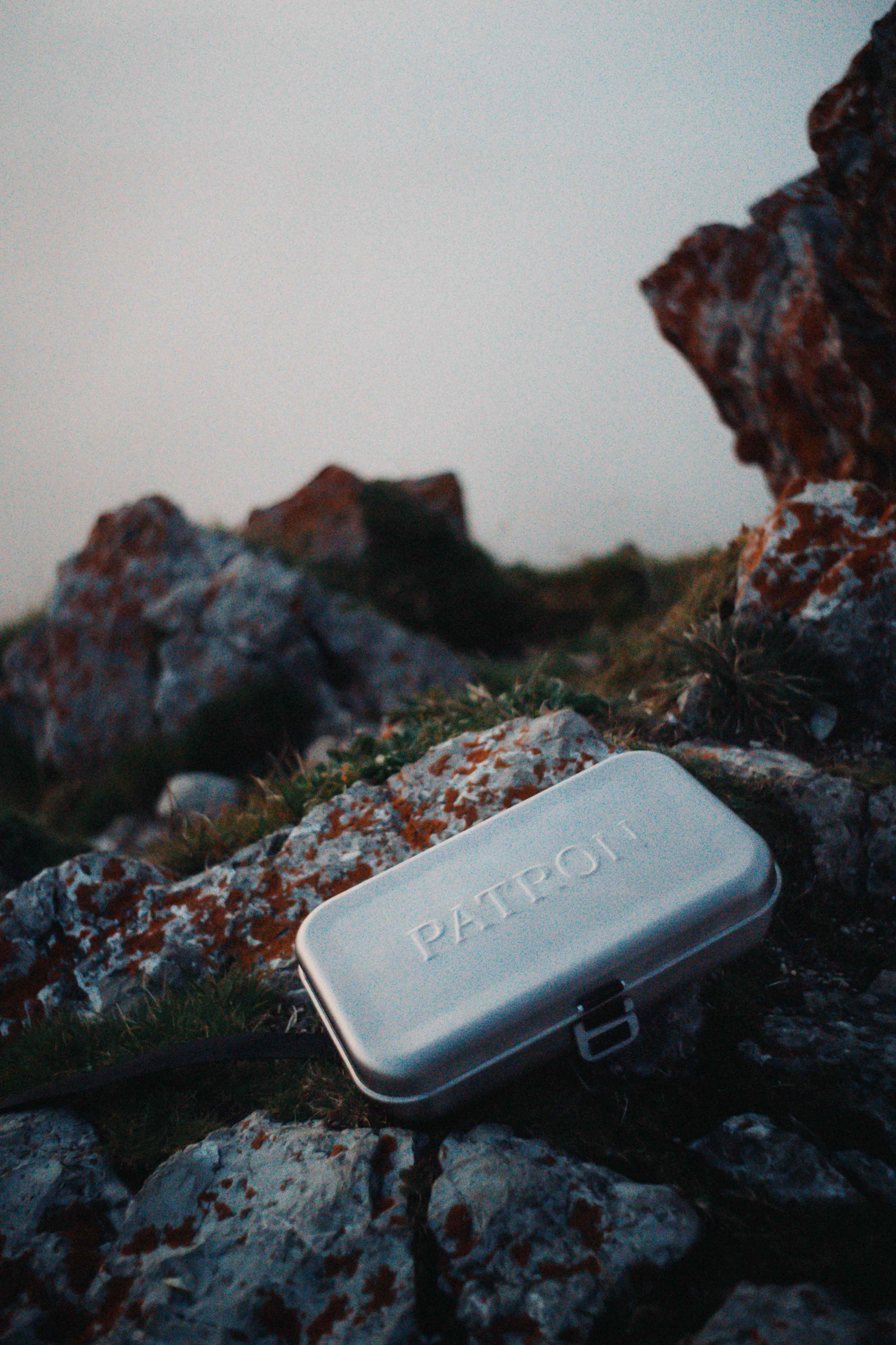 The Patron in laying in gras Simon Abele