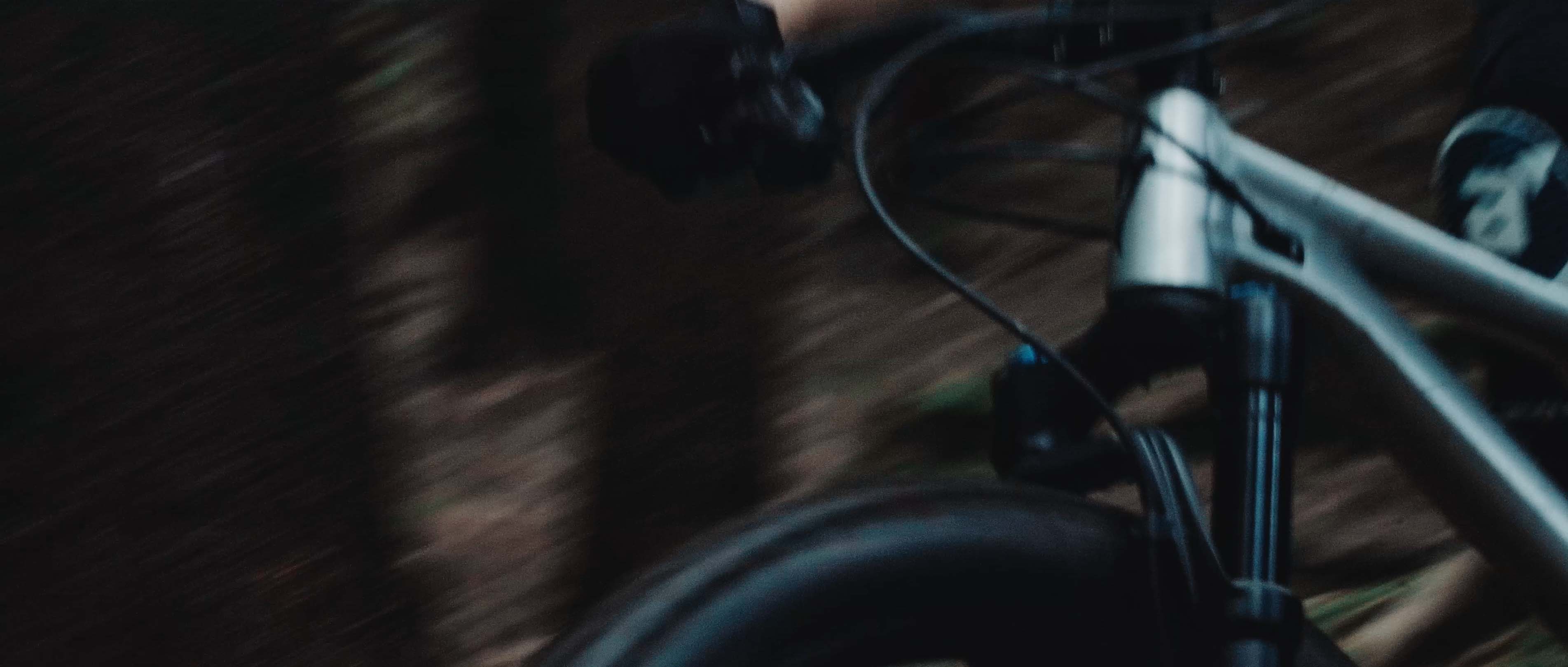 Downhill in forest Simon Abele