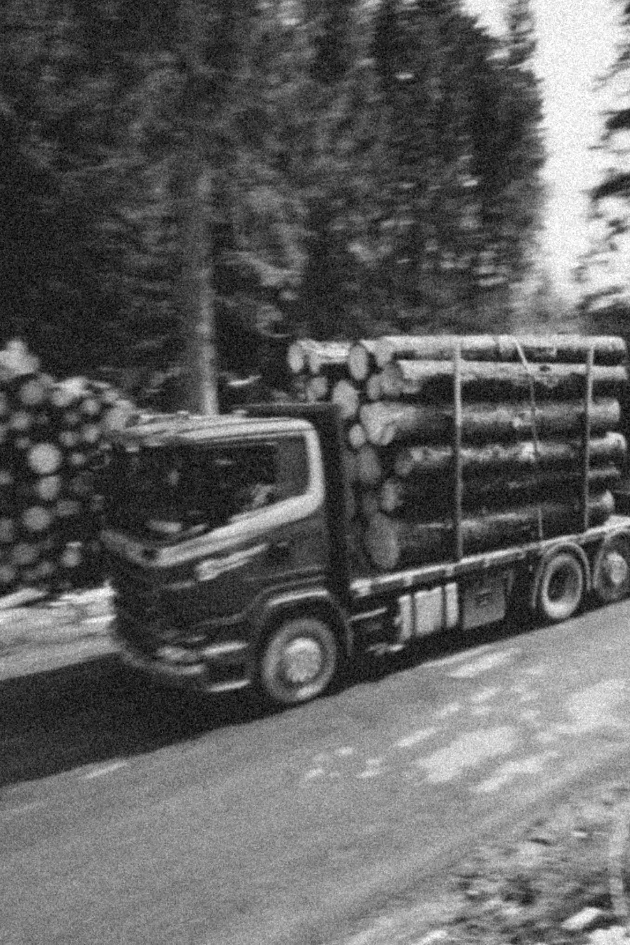 wood truck at South Tyrol Simon Abele