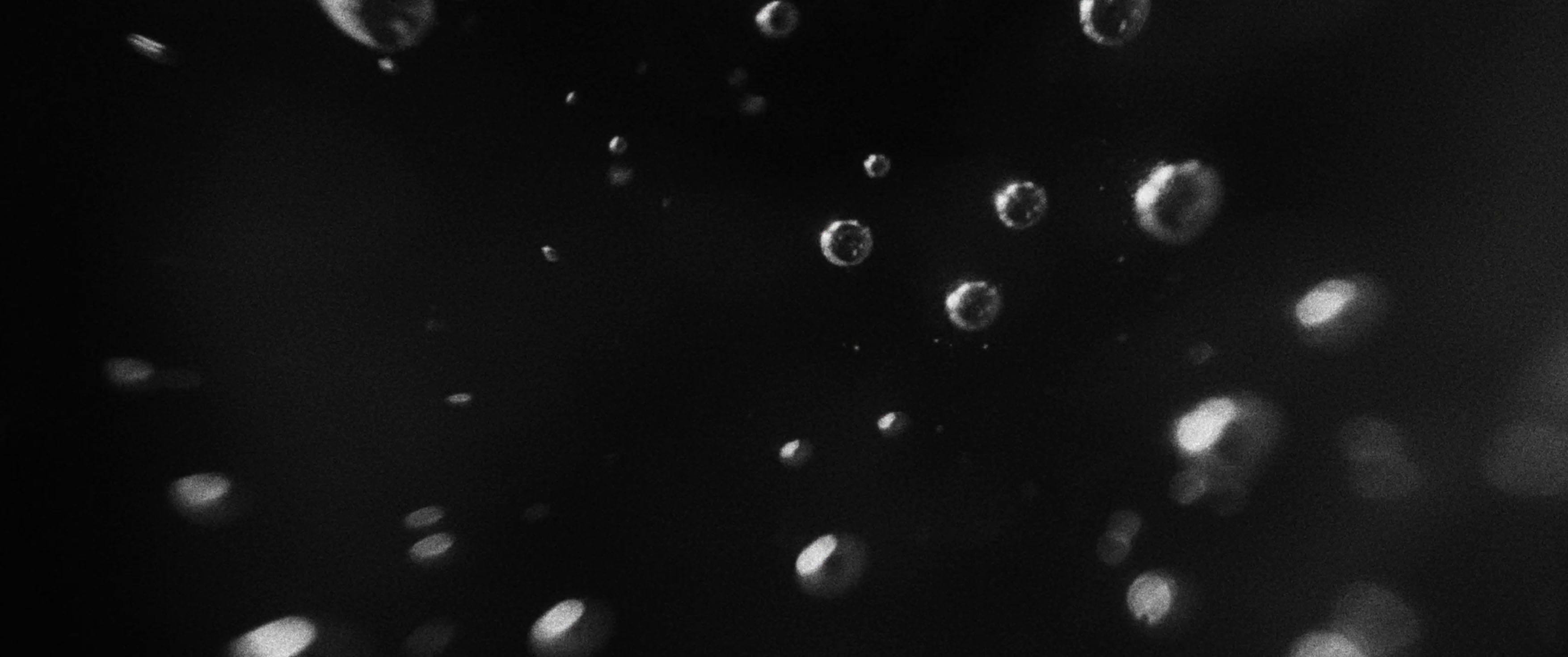 Waterbubbles macro Simon Abele